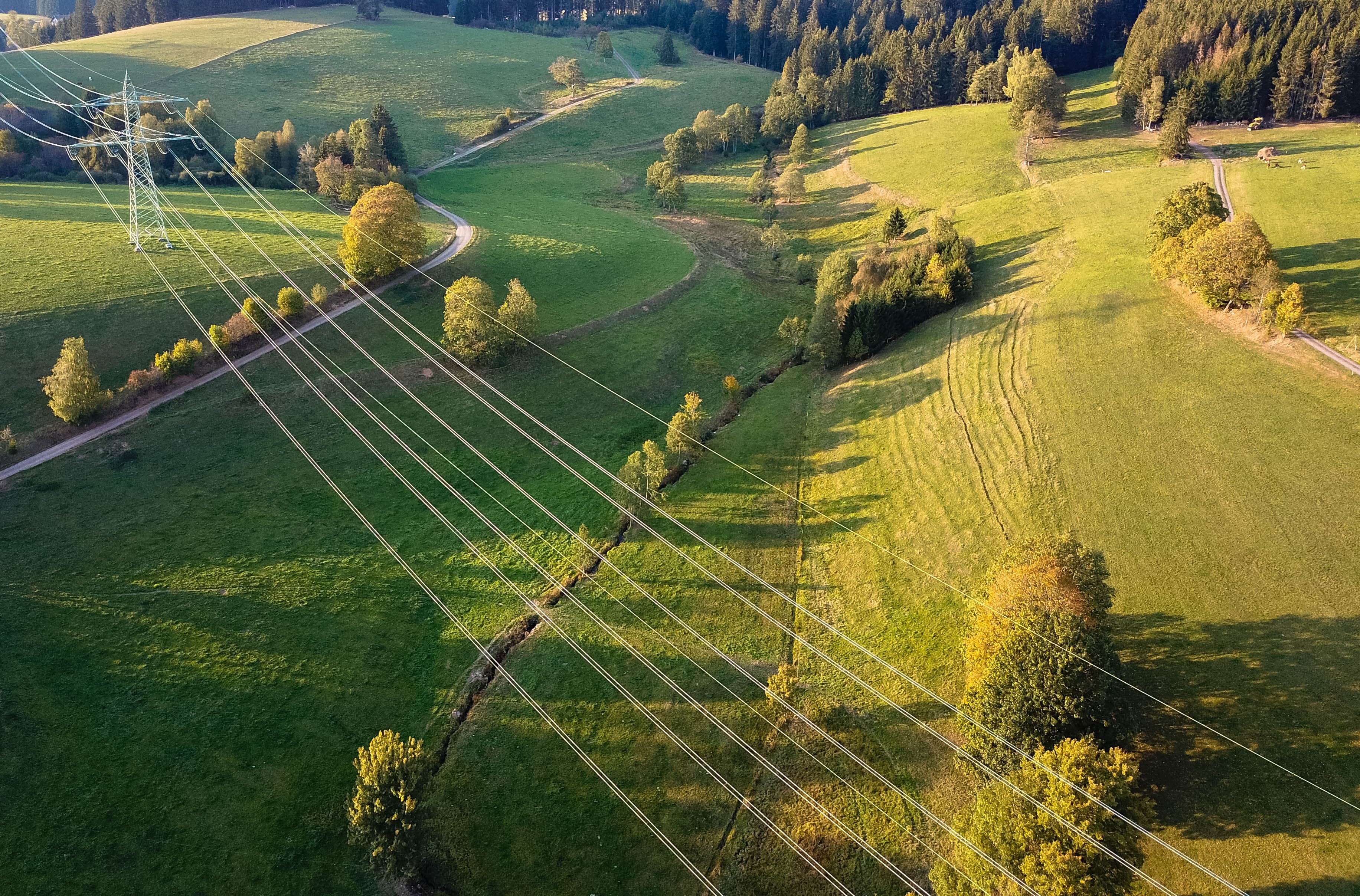 High voltage electricity lines in the field.