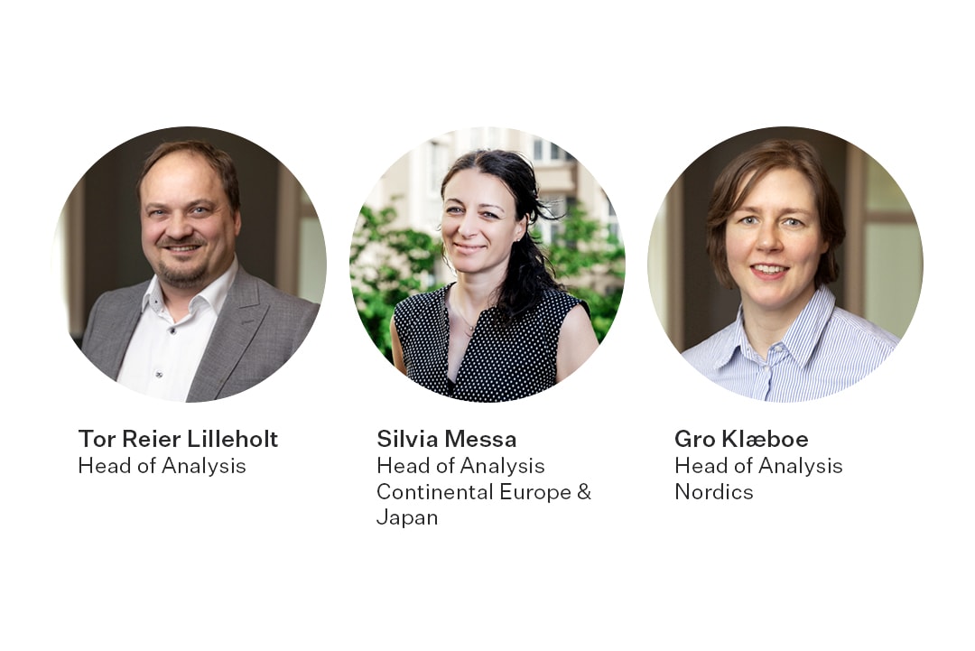 Insight analysis team